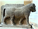 Do�u kanad� bo�as�, Louvre - E. An�l, 2019