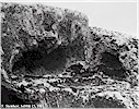 Kanatl� G�ne� Kursu(?) - F. Steinherr, 1965