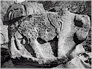 �ift bo�al� kaidenin sa� taraf� - H. �ambel, 1999