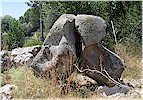 Lion Statue Base fragments - T. Bilgin 2009