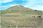 M. An�l, 2008