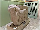 Do�u kanad� kap� aslan�, Ni�de M�zesi - T. Bilgin, 2017