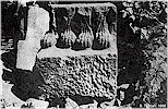 Do�u kanad� kap� aslanlar� - B. Tezcan, 1969
