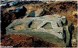 Yar� i�lenmi� aslan heykeli - F. Kulako�lu, 2001
