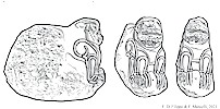 Hunu aslan� - Di Filippo & Manuelli, 2021 (drawing R. Zahler)