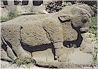 F. Kulako�lu, 1999