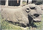 Kap� bo�as� - F. Kulako�lu, 1999