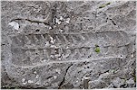 Yeralt�n�n 12 tanr�s� (Nr. 1�12) - C. S�er, 2011