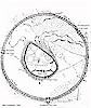 City plan